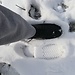 Let it snow