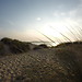 Liencres, Valdearena