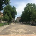 Life in Torino, Italia