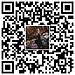 Link WhatsApp Group 2024 - 2025