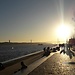 Lisbon: the sunflower made of stone