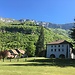 Living in Annecy: An Erasmus Student’s Guide