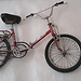 La Bicicleta