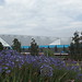 London 2012: Being a Games Maker