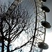 London Eye