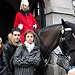 Londra in movimento