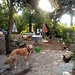 Looking for a Housmate for a Historical Mansion