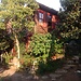 Looking for a Housmate for a Historical Mansion