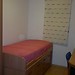 Looking for a roomate
