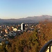 Mirador