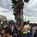 Los palomos!!