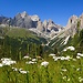 Trento