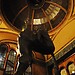 Lucerna