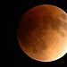 Lunar Eclipse At Fort St Elmo
