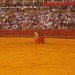Plaza de toros de la Real Maestranza de Caballería de Sevilla