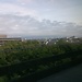 Maersk Tower