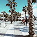 Malaga