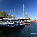 Marina Gdynia