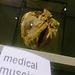 Medical Museion Copenhagen