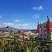 Mein Erasmus-Auslandsaufenthalt auf den Azoren (Ponta Delgada)