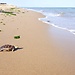 Metaponto: mare e Pitagora
