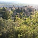 Mi carrera en Granada