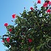 Moja spowiedź o Erasmusie