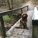 Monte1