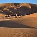 Morocco sahara tours, Marrakech to Fes, Camel trekking, Desert t