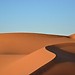 Morocco sahara tours, Marrakech to Fes, Camel trekking, Desert t