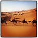 Morocco sahara tours, Marrakech to Fes, Camel trekking, Desert t