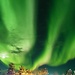 Motivos por los que estudiar en Finlandia
