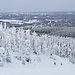 Motivos por los que estudiar en Finlandia