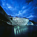 Mur Insel by night