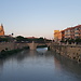 Universidad de Murcia