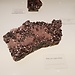 Museo de las Ciencias de Castilla-La Mancha