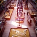 Muséum national d'Histoire naturelle