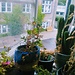 My accommodation in Copenhagen
