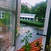 My accommodation in Copenhagen