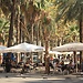 My Extraordinary Experience in Barcelona (Catalonia), Spain