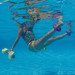 Császár-Komjádi, Hajós Alfréd and Kispesti swimming pools