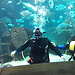 Nature Festival: Scuba diving with a shark