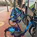 Next time you go to San Francisco, take a bike!