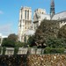 Notre Dame y los candados del amor