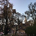 Noviembre en Viena