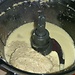 Oatmeal pound cake fish