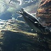 Oceanario
