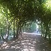 Oliwa Park