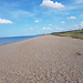 On English Soil ... Seals at Blakeney Point on the North Norfolk