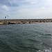 On English Soil ... Seals at Blakeney Point on the North Norfolk